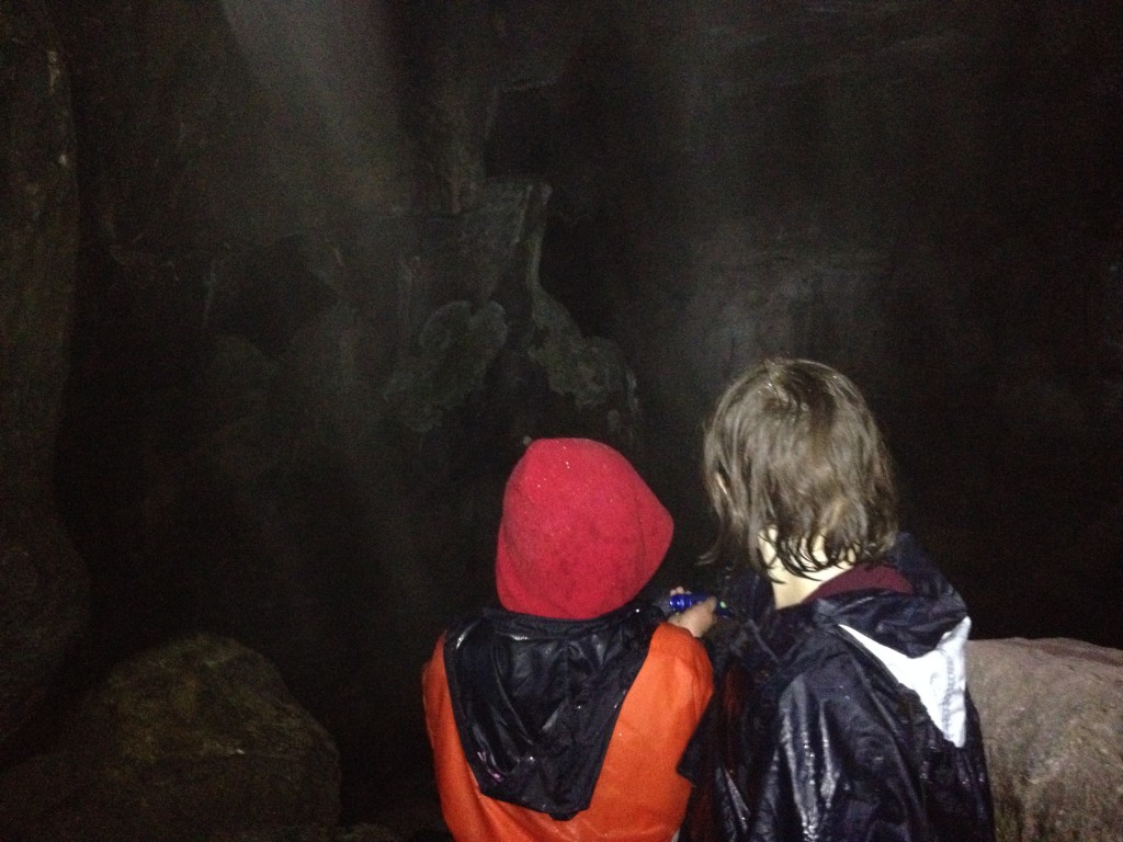 Looking into the cave