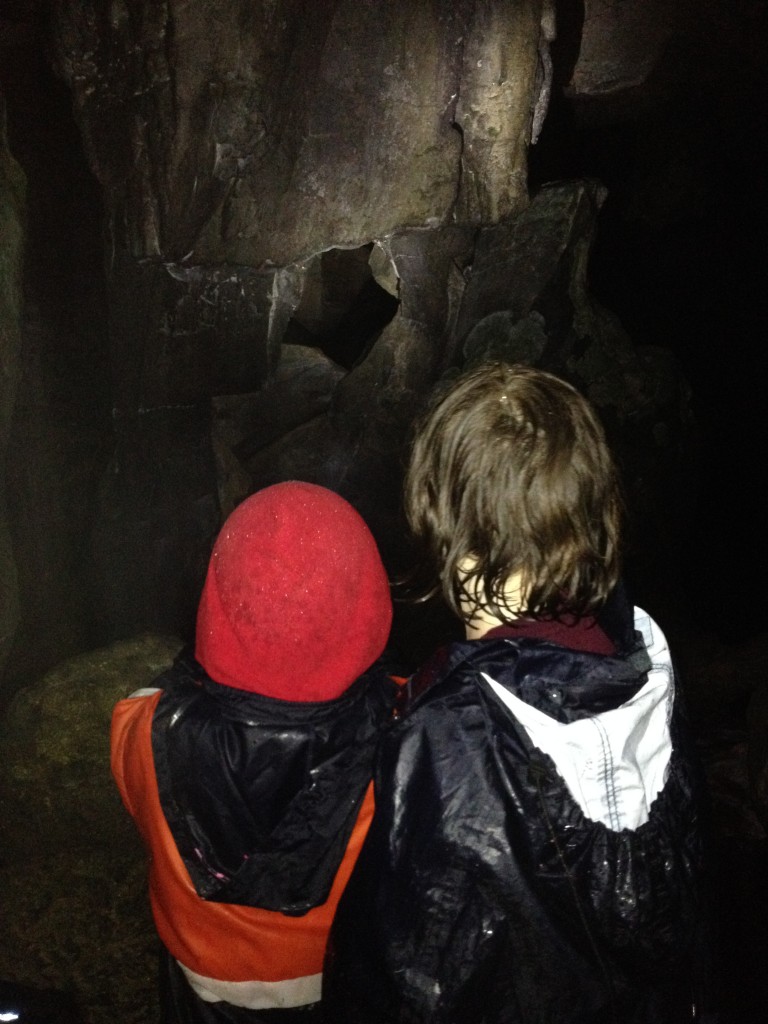 Looking into the cave